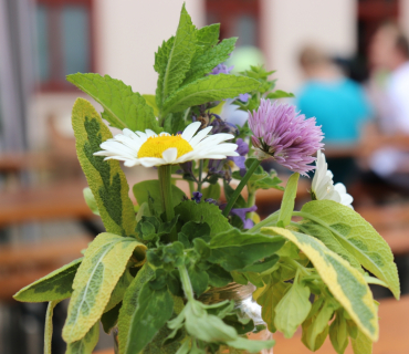 DateTimeOriginal - 2022-06-04 16:31:45