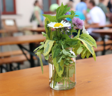 DateTimeOriginal - 2022-06-04 16:31:54