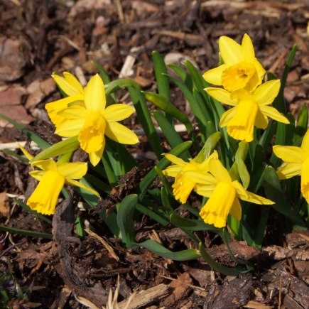 VELIKONOČNÍ JARMARK 27.3. 2015 foto Jana Žárs
