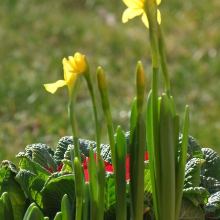 VELIKONOČNÍ JARMARK 27.3. 2015 foto Jana Žárs