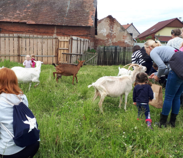 22.6.2020 - návštěva u koziček