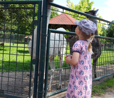 16.6.2020 - výlet do Častolovic