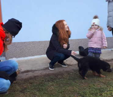 14.1.2020 - štěňátkový Dvoreček