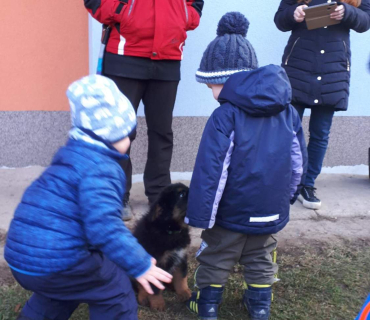 14.1.2020 - štěňátkový Dvoreček