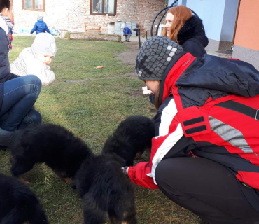 14.1.2020 - štěňátkový Dvoreček