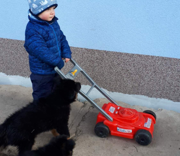 14.1.2020 - štěňátkový Dvoreček