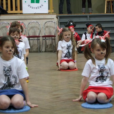 PRUHOVANÝ KARNEVAL 15.4.2012 Sokolovna - foto Jana Ž