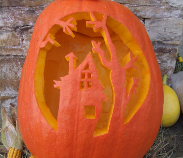 Černilovská dýně 2011 fotky od Jany Z